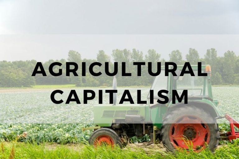 Examining Agricultural Capitalism and Its Impact
