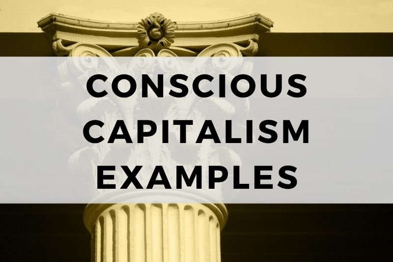 Conscious Capitalism Examples