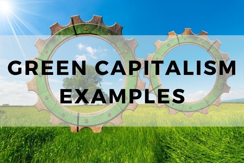 Green Capitalism Examples