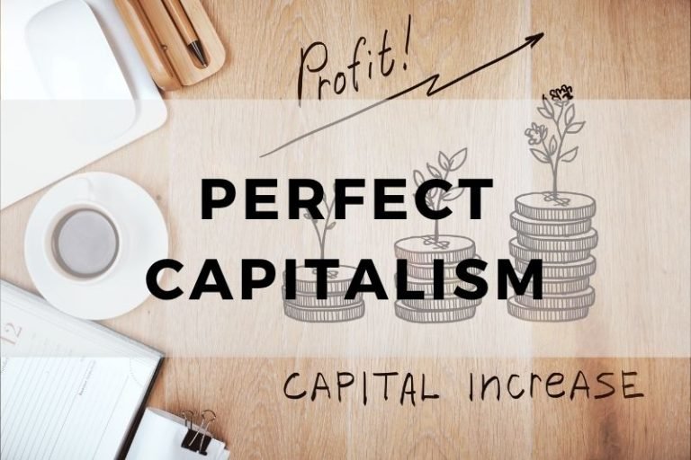 How Perfect Capitalism Would Actually Work