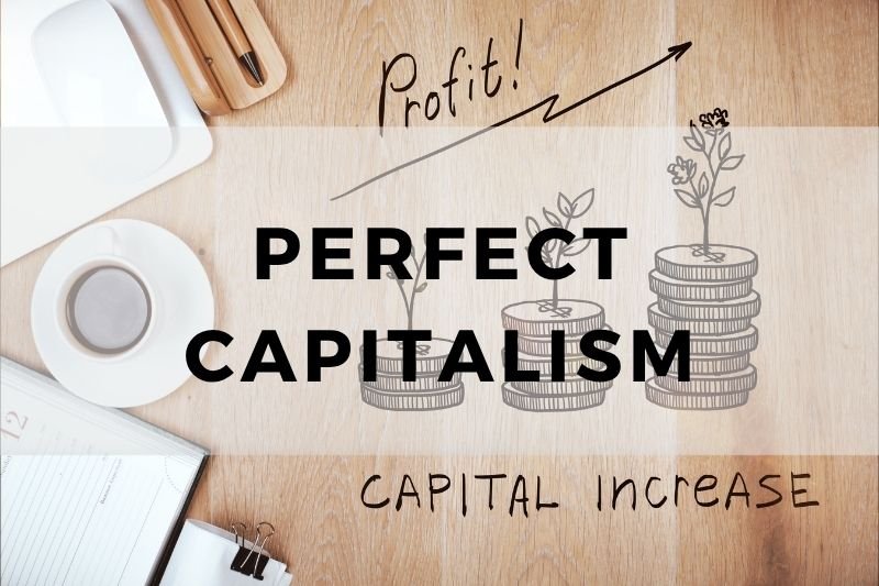Perfect Capitalism